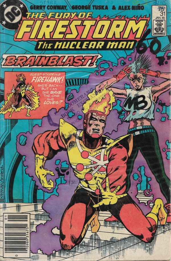 Fury of Firestorm #31 (1985) (High Grade)