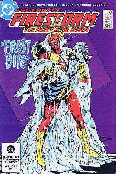 Fury of Firestorm #20 (1984) (High Grade)