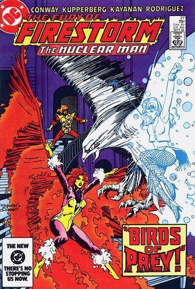 Fury of Firestorm #27 (1984) (High Grade)