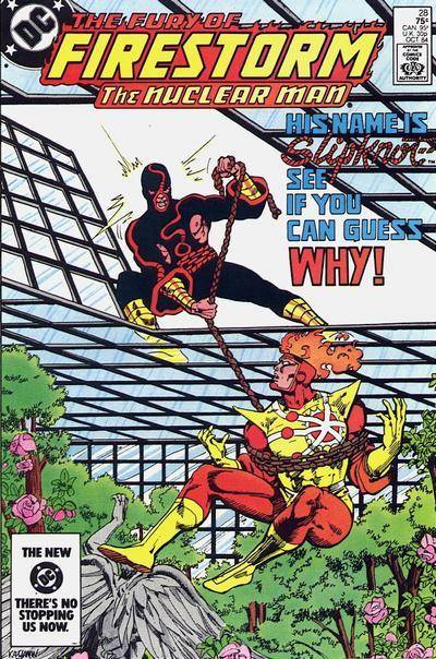 Fury of Firestorm #28 (1984) (High Grade)